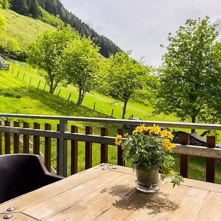 Modern Mountain 5 - An Der Skipiste Apartment *